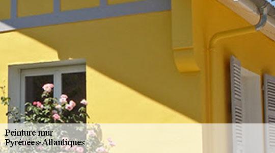 Peinture mur Pyrénées-Atlantiques 