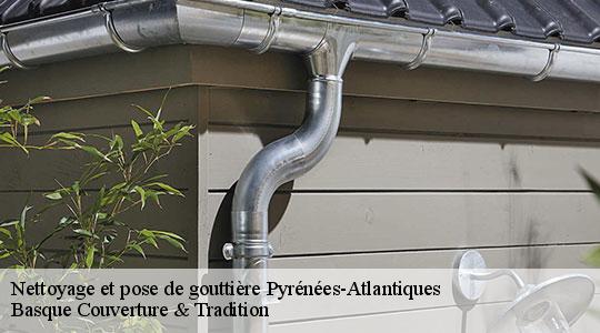 Nettoyage et pose de gouttière Pyrénées-Atlantiques 