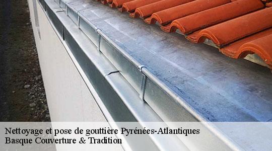 Nettoyage et pose de gouttière Pyrénées-Atlantiques 