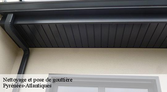 Nettoyage et pose de gouttière Pyrénées-Atlantiques 