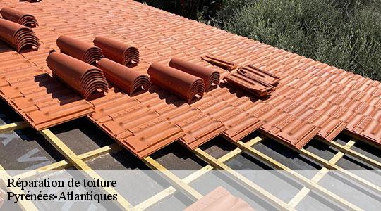 Réparation de toiture Pyrénées-Atlantiques 