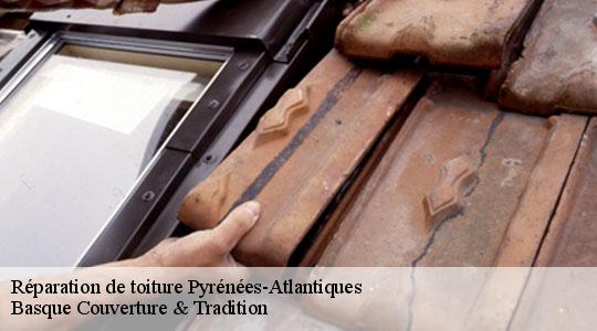 Réparation de toiture Pyrénées-Atlantiques 