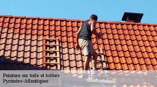 Peinture sur tuile et toiture Pyrénées-Atlantiques 