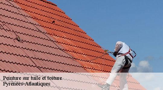 Peinture sur tuile et toiture Pyrénées-Atlantiques 