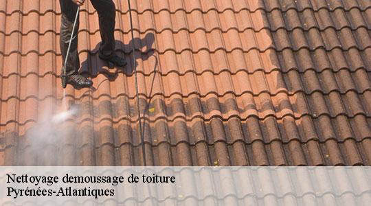 Nettoyage demoussage de toiture Pyrénées-Atlantiques 