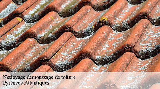 Nettoyage demoussage de toiture Pyrénées-Atlantiques 