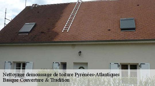 Nettoyage demoussage de toiture Pyrénées-Atlantiques 