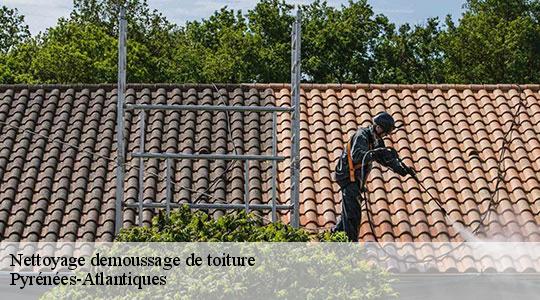 Nettoyage demoussage de toiture Pyrénées-Atlantiques 