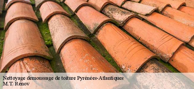 Nettoyage demoussage de toiture Pyrénées-Atlantiques 