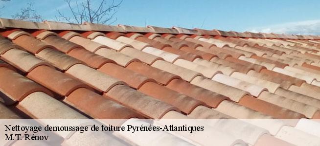 Nettoyage demoussage de toiture Pyrénées-Atlantiques 