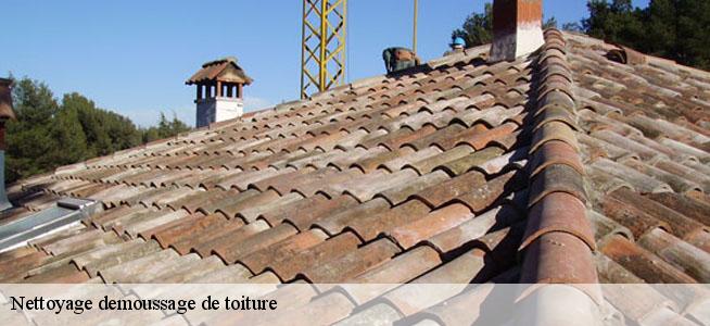 Nettoyage demoussage de toiture Pyrénées-Atlantiques 