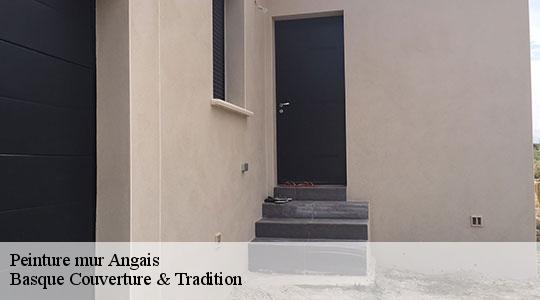 Peinture mur  64510