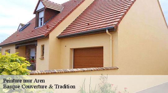 Peinture mur  aren-64400 Basque Couverture & Tradition