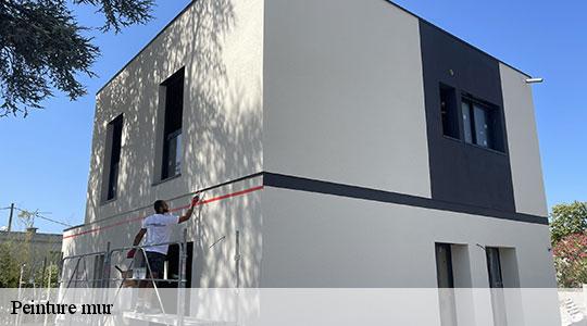 Peinture mur  64220