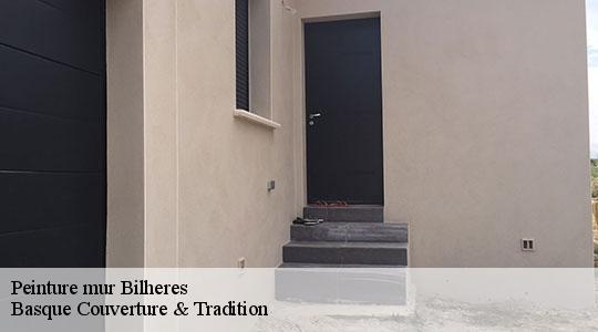 Peinture mur  64260