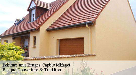 Peinture mur  bruges-capbis-mifaget-64800 Basque Couverture & Tradition