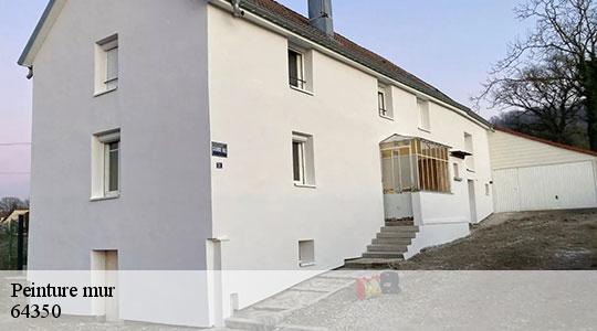 Peinture mur  64350