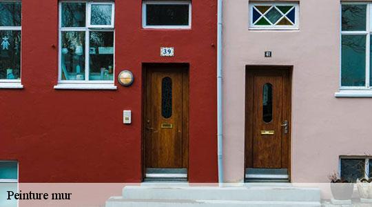Peinture mur  64350