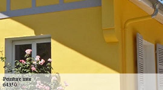 Peinture mur  64350