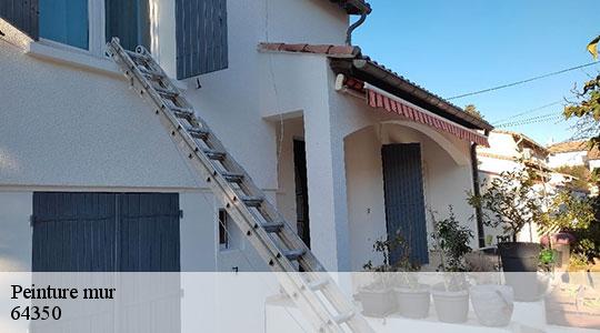 Peinture mur  64350