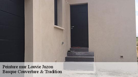 Peinture mur  64260
