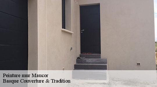 Peinture mur  64160