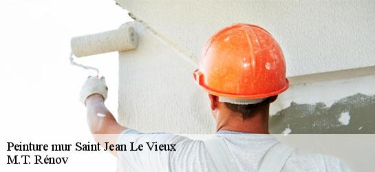 Peinture mur  64220