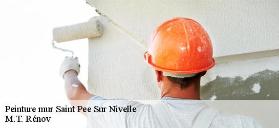 Peinture mur  64310