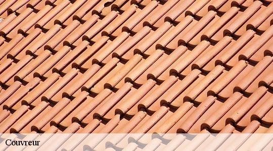 Couvreur  64160