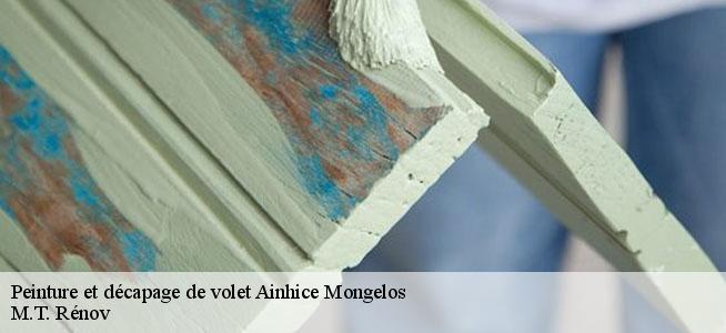 Peinture et décapage de volet  64220