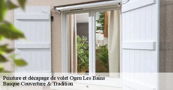 Peinture et décapage de volet  ogeu-les-bains-64680 Basque Couverture & Tradition