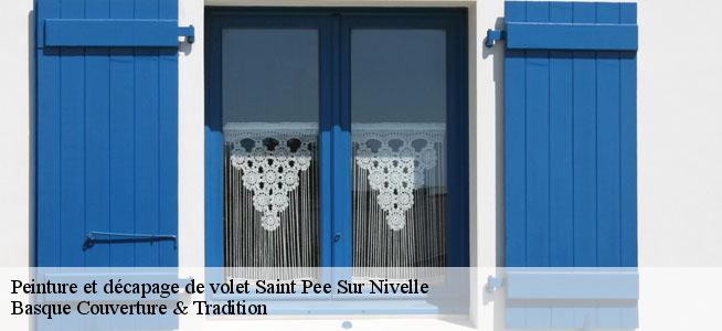 Peinture et décapage de volet  64310