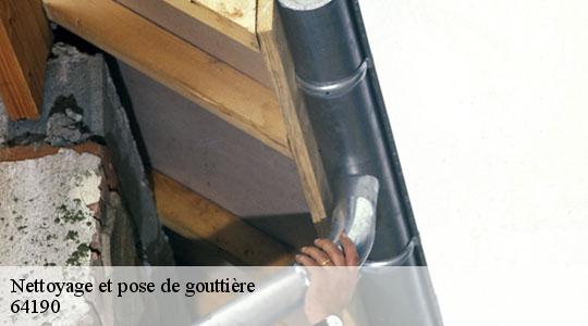 Nettoyage et pose de gouttière  64190