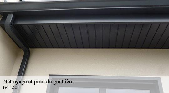 Nettoyage et pose de gouttière  64120