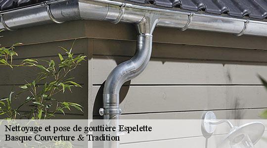 Nettoyage et pose de gouttière  64250