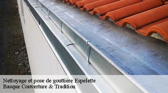 Nettoyage et pose de gouttière  64250