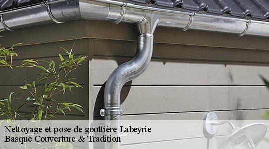 Nettoyage et pose de gouttière  64300