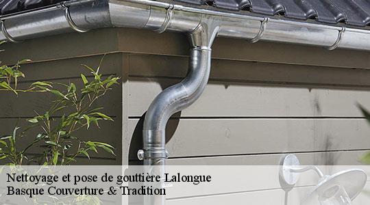 Nettoyage et pose de gouttière  64350