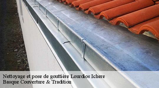 Nettoyage et pose de gouttière  64570