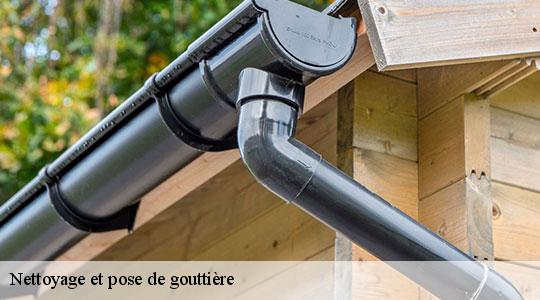 Nettoyage et pose de gouttière  64460
