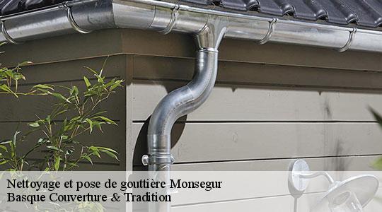 Nettoyage et pose de gouttière  64460