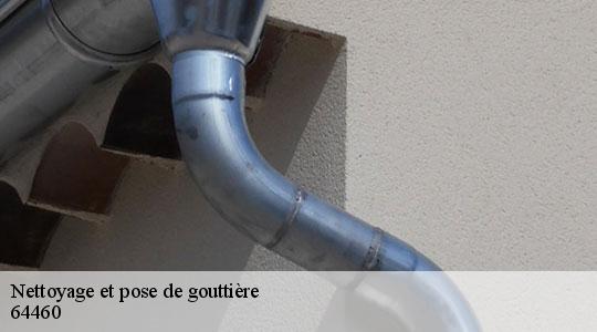 Nettoyage et pose de gouttière  64460
