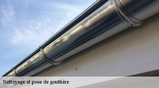 Nettoyage et pose de gouttière  64460