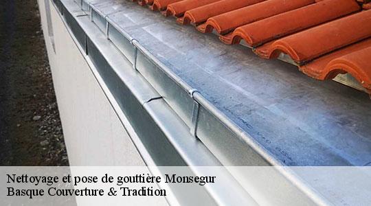 Nettoyage et pose de gouttière  64460