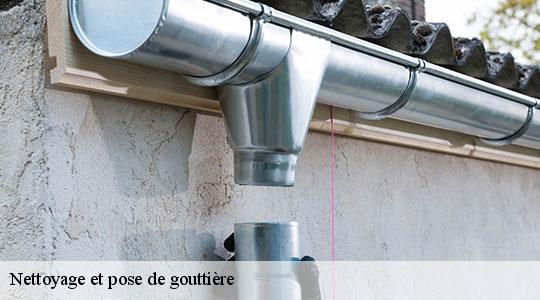 Nettoyage et pose de gouttière  64460