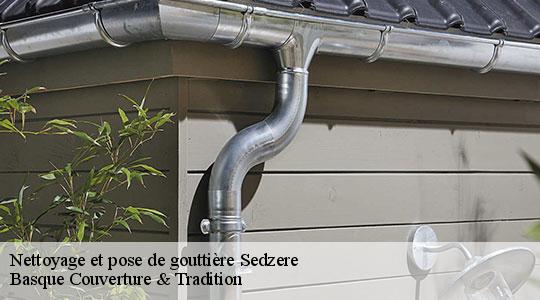 Nettoyage et pose de gouttière  64160