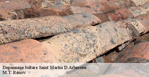 Depannage toiture  saint-martin-d-arberoue-64640 M.T. Rénov