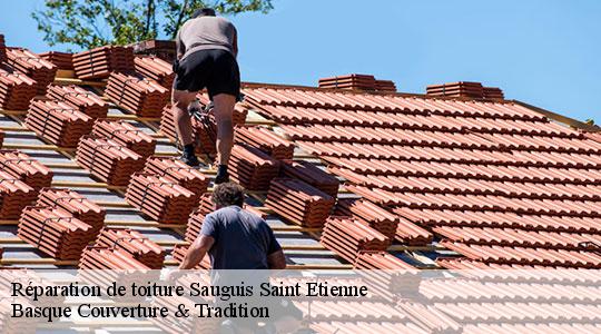 Réparation de toiture  sauguis-saint-etienne-64470 Basque Couverture & Tradition