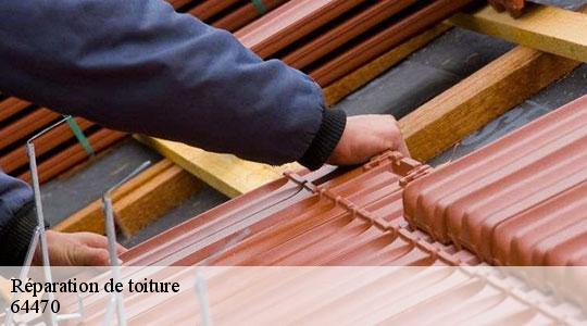 Réparation de toiture  64470