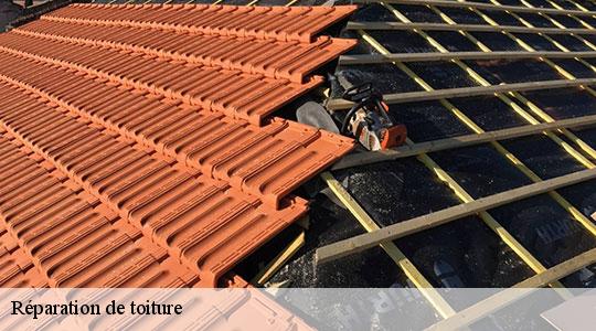 Réparation de toiture  64470